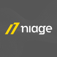 logo de Niage Consulting